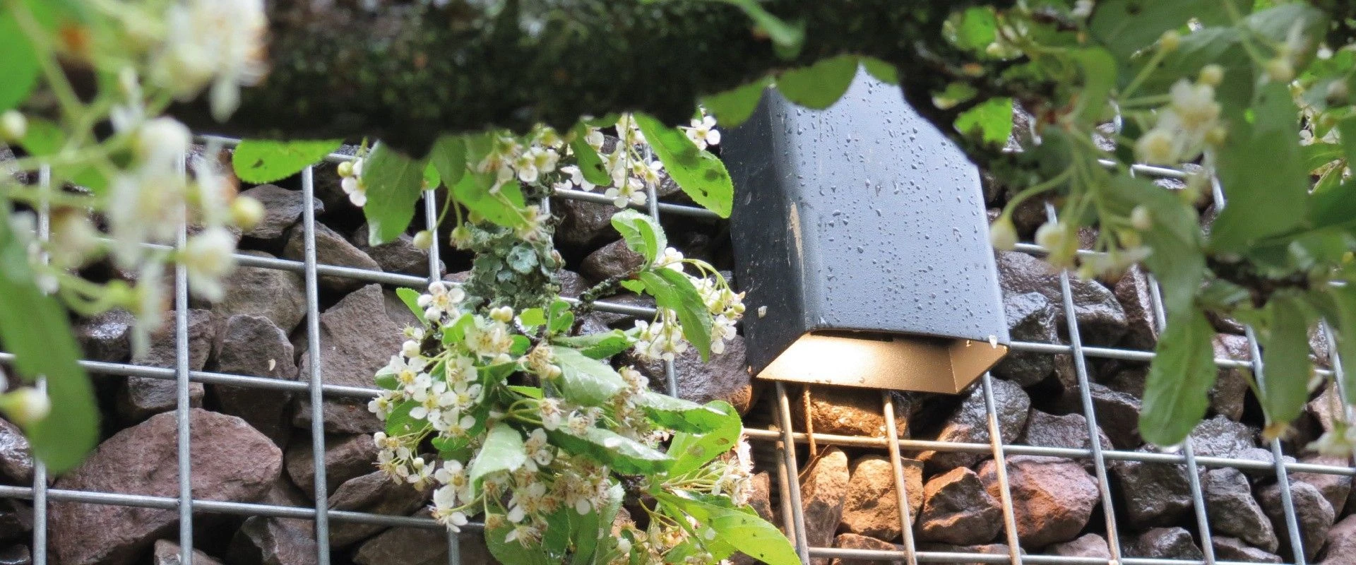 Suslight Sus Reverso 230V - Afbeelding 4